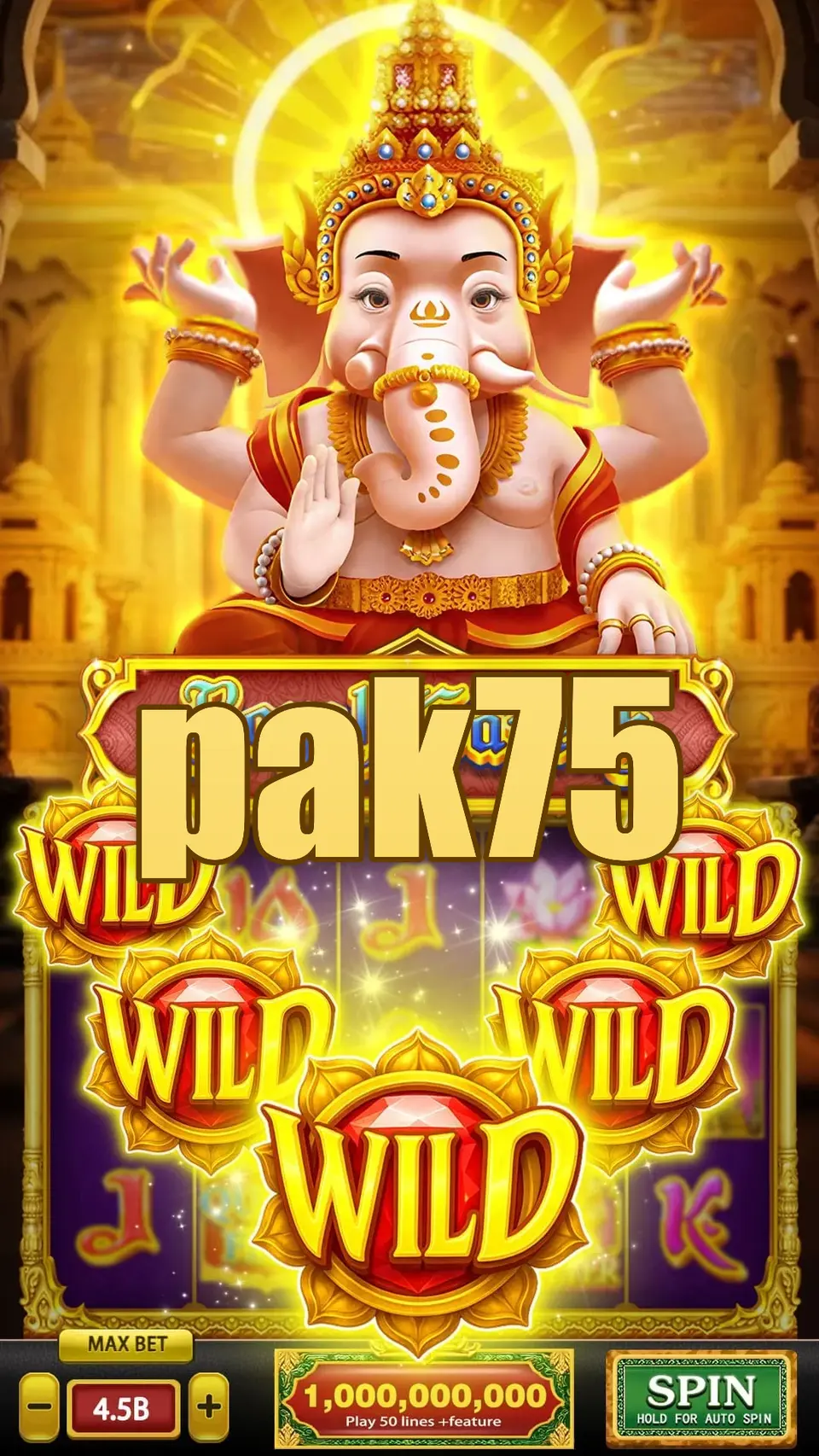 pak75 Login